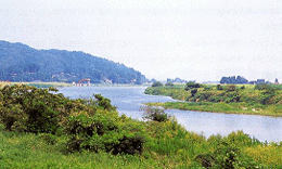 小矢部川の高水敷