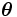 \boldsymbol{\theta}\, 