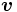 \boldsymbol{v}\, 
