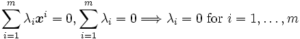 \displaystyle 
 \sum_{i=1}^{m}\lambda_i \boldsymbol{x}^i = 0,
\sum_{i=1}^{m}\lambda_i =0
  \Longrightarrow \lambda_i = 0 \mbox{ for } i=1,\ldots,m\, 