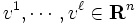 v^1,\cdots,v^\ell \in {\mathbf R}^n\, 
