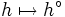 h \mapsto h^{\circ}\, 