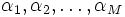 \alpha_{1},\alpha_{2},\ldots,\alpha_{M}\, 