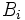 B_i\,