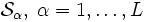 {\mathcal S}_\alpha,\; \alpha = 1,\ldots,L\, 
