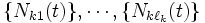 \{N_{k1}(t)\}, \cdots, \{N_{k\ell_k}(t)\}\, 