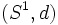 (S^{1}, d)\, 