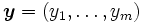 \boldsymbol{y} = (y_1, \ldots, y_m) \,