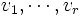 v_1, \cdots, v_r