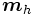 \boldsymbol{m}_h\, 