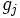 g_{j}\, 