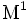 {\rm M}^{1}\, 
