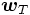 \boldsymbol{w}_T\,