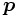\boldsymbol p\,
