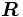 \boldsymbol{R}\, 
