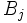 B_j\, 