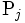 {\rm P}_j\, 