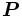 \boldsymbol{P}