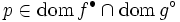 p \in {{\rm dom\,}} f^{\bullet} \cap {{\rm dom\,}} g^{\circ}\, 