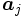 \boldsymbol{a}_{j}\, 