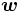 \boldsymbol{w} \, 