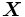 \boldsymbol{X}\,