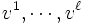 v^1,\cdots,v^\ell\, 
