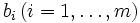 b_i \, (i=1,\ldots,m)