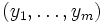 (y_1,\ldots,y_m) \,