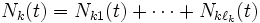 N_k(t) =N_{k1}(t)+ \cdots +N_{k\ell_k}(t)\, 