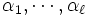 \alpha_1,\cdots,\alpha_\ell\, 