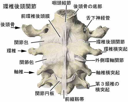 A03108001a.jpg (23218 バイト)