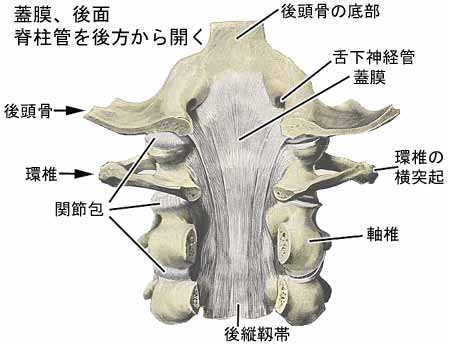 A03204001a.jpg (20855 バイト)