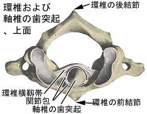 A03204001b.jpg (12369 バイト)