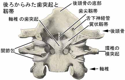 A03205001a.jpg (18428 バイト)
