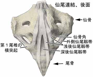 A03208001a.jpg (13885 バイト)
