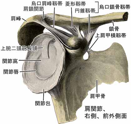 A03501001a.jpg (24501 バイト)