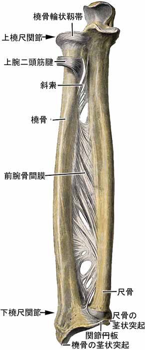 A03506001a.jpg (24206 バイト)