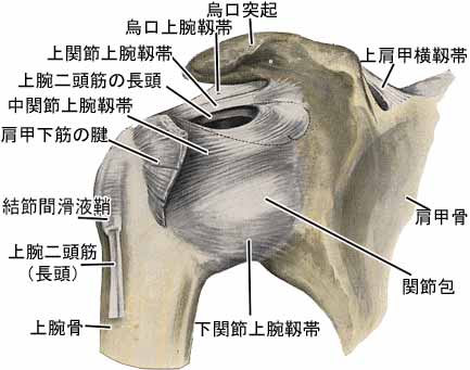 A03508001a.jpg (21806 バイト)