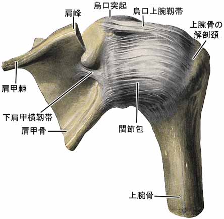 A03508001b.jpg (21417 バイト)