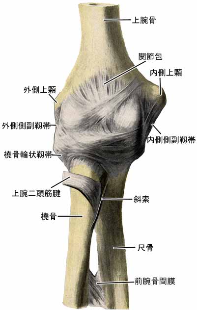 A03509001a.jpg (22816 バイト)