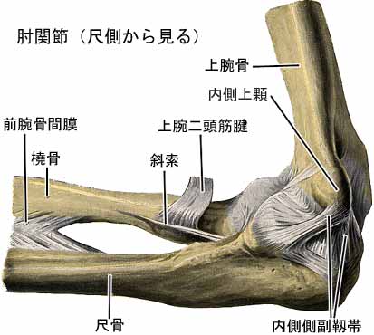 A03509001b.jpg (20661 バイト)