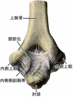 A03509001d.jpg (12698 バイト)