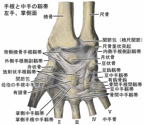 A03511001a.jpg (35652 バイト)