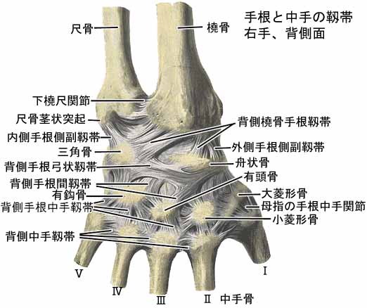 A03511001b.jpg (31775 バイト)