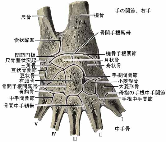 A03511001c.jpg (37588 バイト)