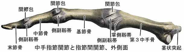 A03511001e.jpg (17262 バイト)
