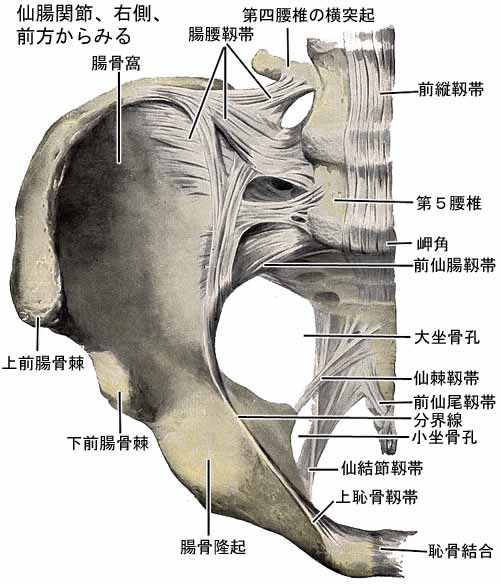 A03603001a.jpg (41701 バイト)