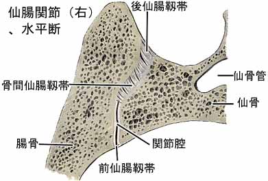 A03603001c.jpg (17812 バイト)