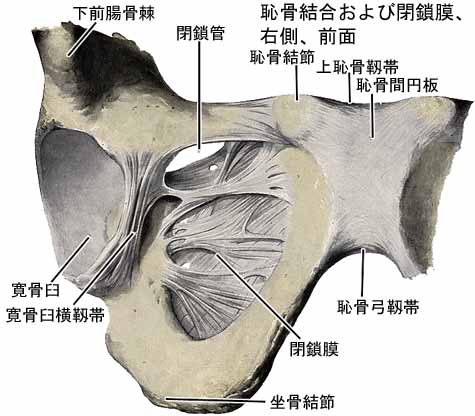 A03603001d.jpg (28457 バイト)